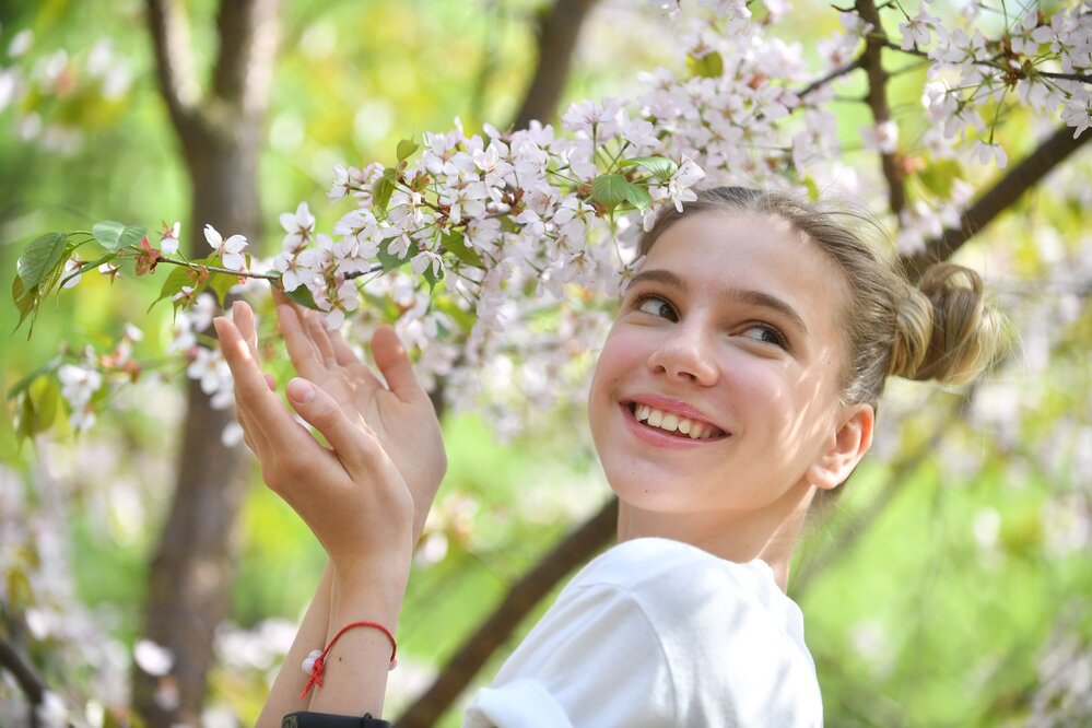 Пять садов России, где можно увидеть цветущую сакуру