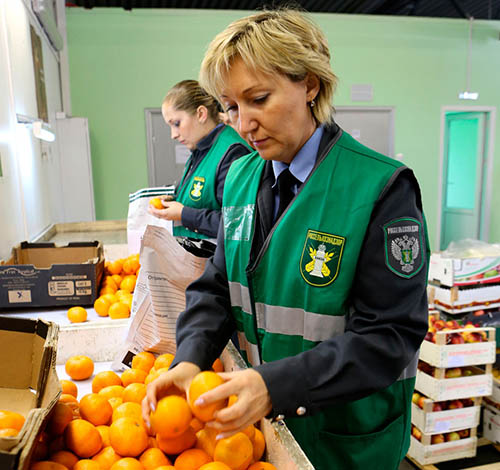 Леонид Заяц, министр сельского хозяйства и продовольствия Беларуси: С фальсификатом боремся вместе