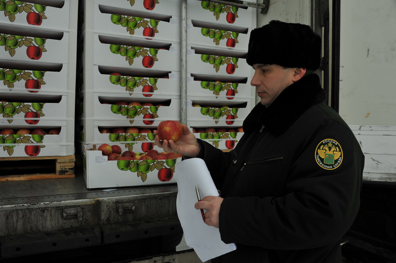 Груз санкционных яблок задержан на российско-белорусской границе