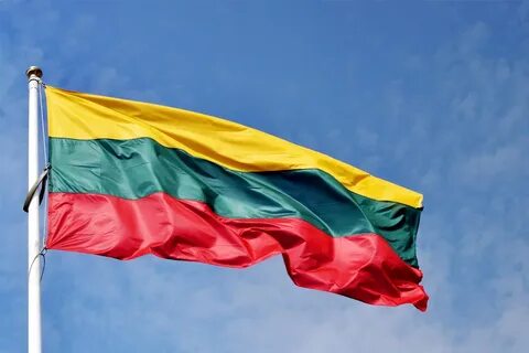 МИД Литвы объявило об установке систем видеоконтроля на границе с Беларусью 