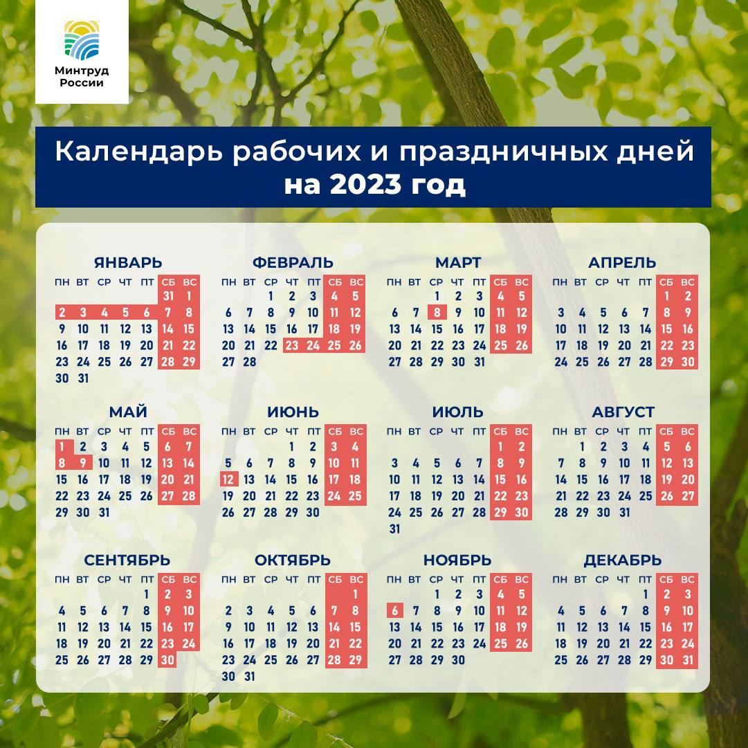 Новогодние праздники в России в 2023 году продлятся 9 дней 