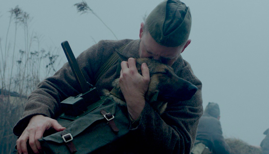 Премьера фильма о собаках-смертниках, участвовавших в битве за Москву, пройдет в России и Беларуси