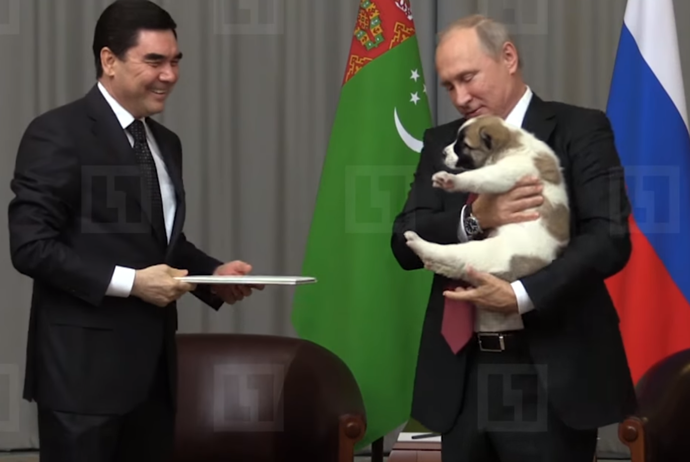 Президент Туркменистана подарил Владимиру Путину на день рождения щенка алабая