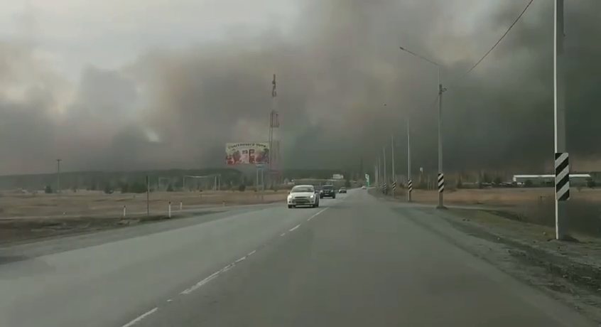 В России ужесточили наказание за пожары в лесу 