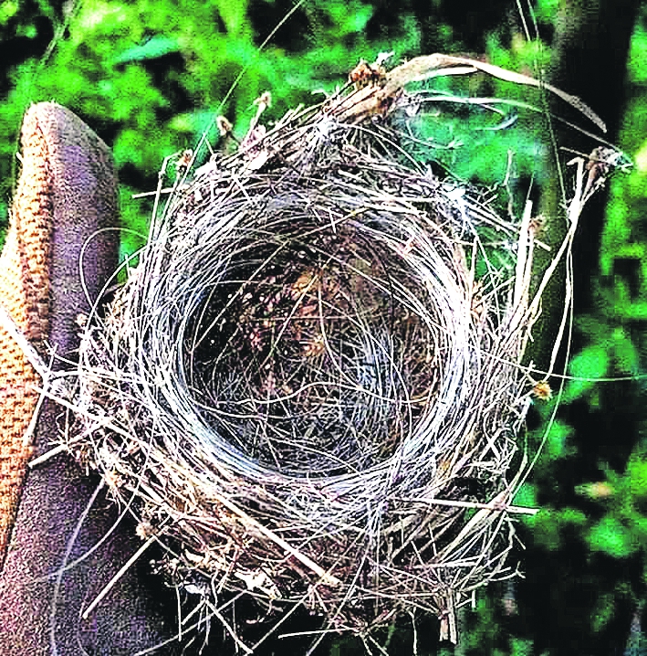 Мирноград - возвращаем назад