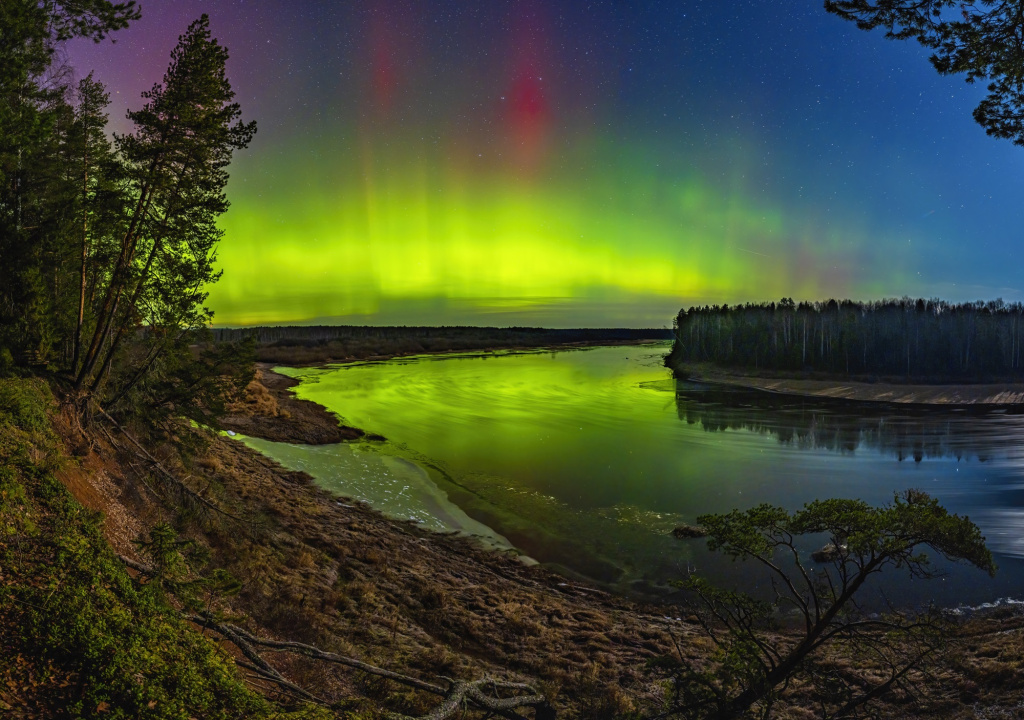 Первозданная Россия-2025: Дикие, но симпатичные