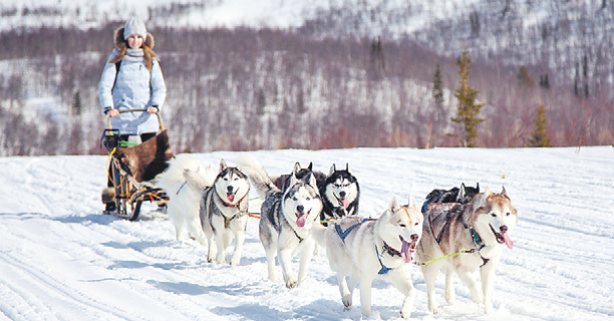 От зеленых до черных