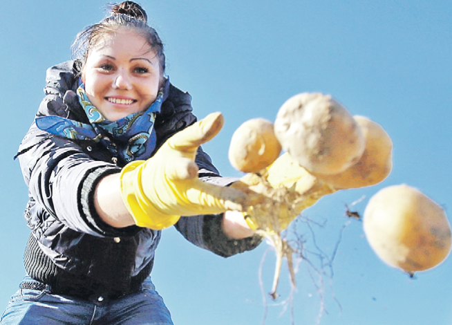 Закрома Родины. Вкусно и безопасно Закрома Родины. Вкусно и безопасно