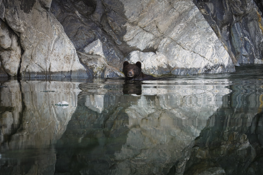 Первозданная Россия-2025: Дикие, но симпатичные