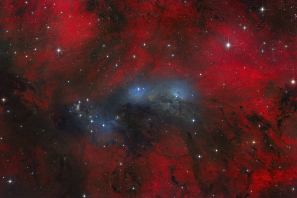 Первозданная Россия-2025: Дикие, но симпатичные