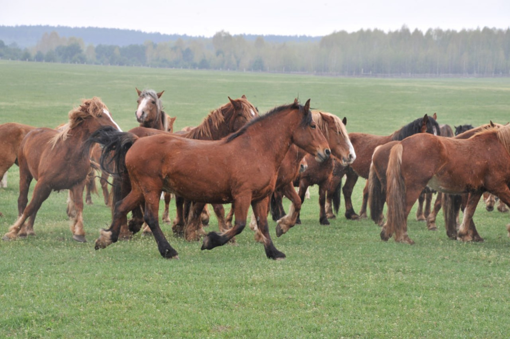 Жанна ЧЕРНЯВСКАЯ о катастрофе в Припяти: Было осознание, что происходит что-то опасное