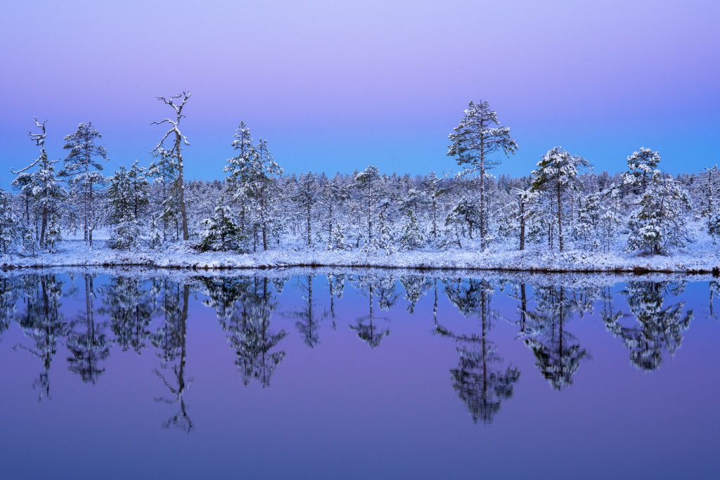 От Командорских островов и вулканов Камчатки до последней заповедной тайги Европы 