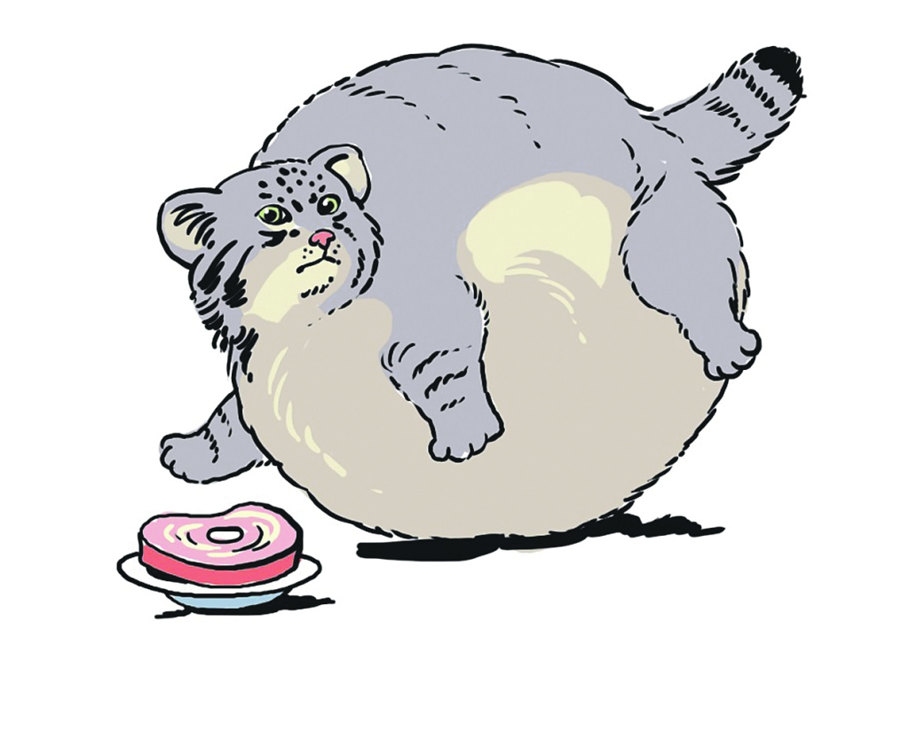 Как, скажи, тебя зовут? И она ответила... Как, скажи, тебя зовут? И она ответила...