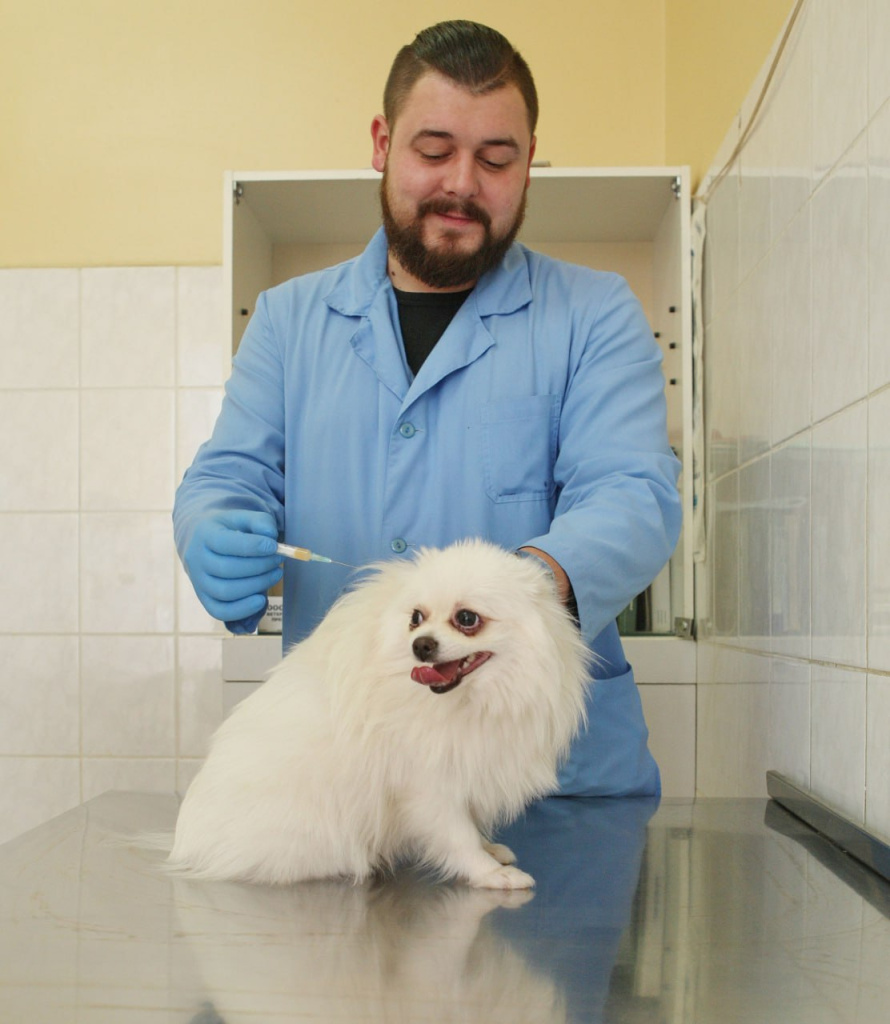 Быть программистом - хорошо, а востребованным рабочим - лучше