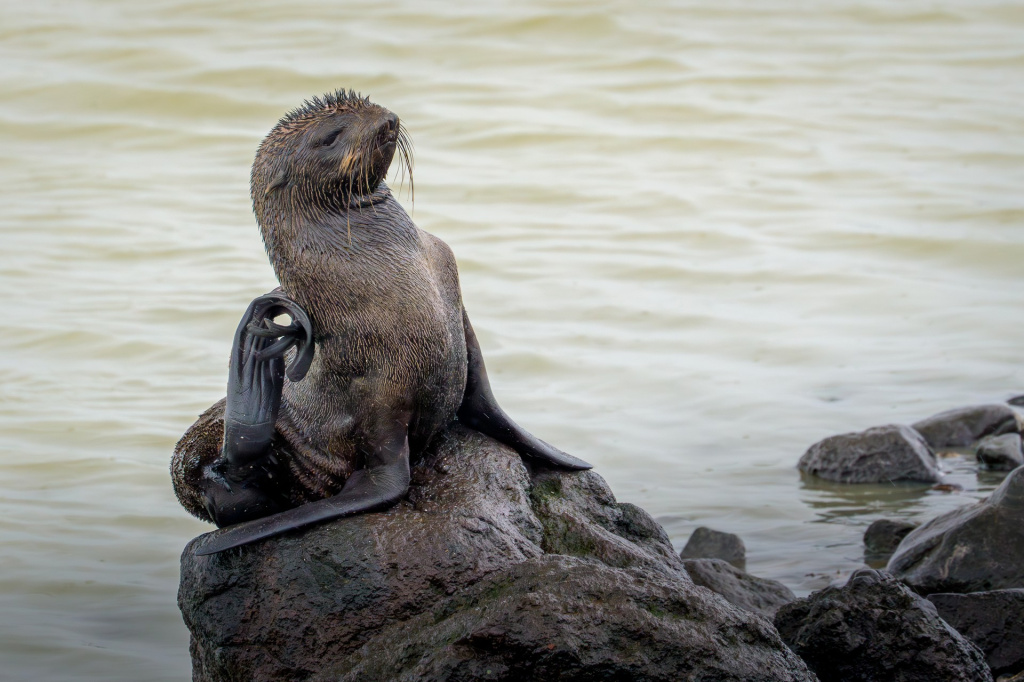 От Командорских островов и вулканов Камчатки до последней заповедной тайги Европы 