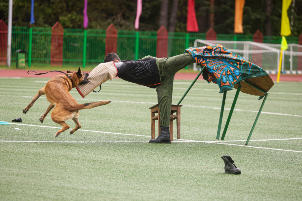 Отряд Зубрят