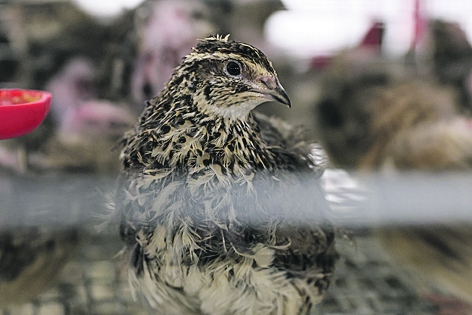 Александр ЛУКАШЕНКО - о золотом правиле: Достигли уровня - ниже нельзя!