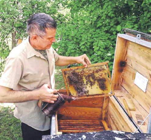 Белорусские агроусадьбы ждут агротуристов