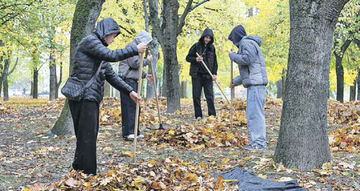 Год благоустройства. За работу - дружной толокой