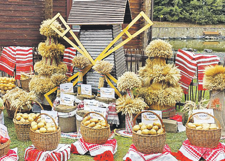 Семь тысяч гектаров успеха