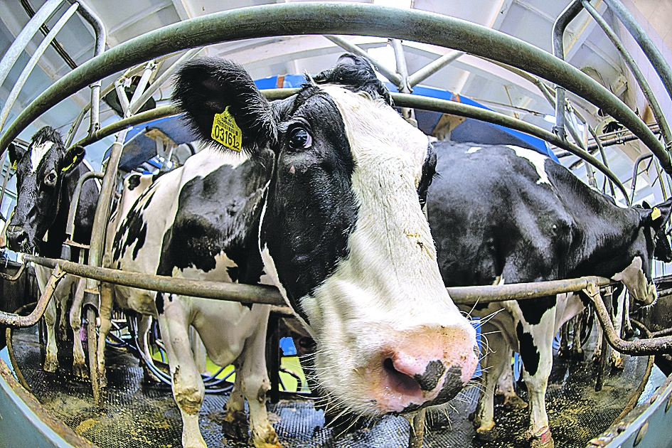 Закрома Родины. Вкусно и безопасно Закрома Родины. Вкусно и безопасно