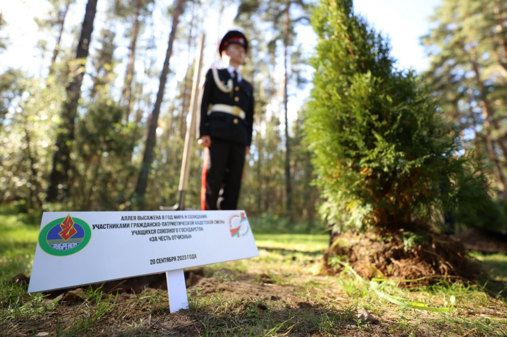 Под залпы фейерверка Под залпы фейерверка